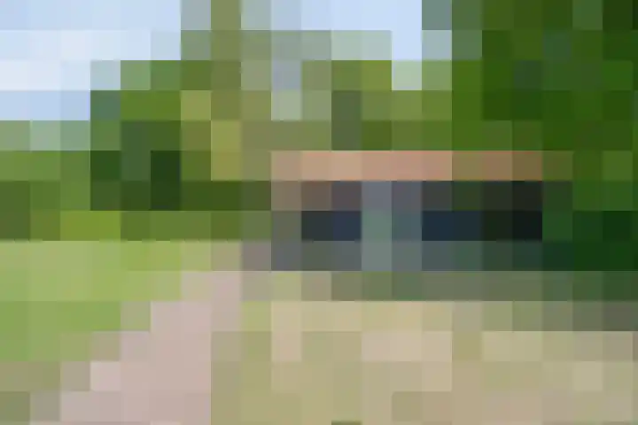 Pandijk 18 Sterksel thumbnail 34