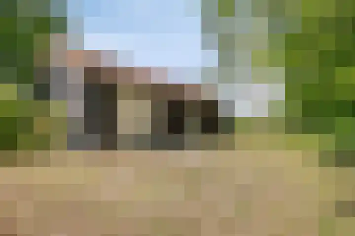Pandijk 18 Sterksel thumbnail 35