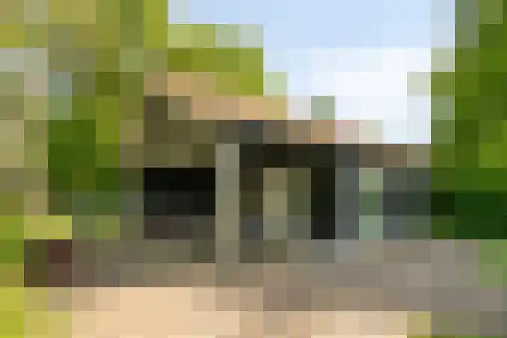Pandijk 18 Sterksel thumbnail 4