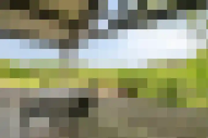 Pandijk 18 Sterksel thumbnail 44