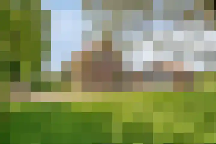Pandijk 18 Sterksel thumbnail 45