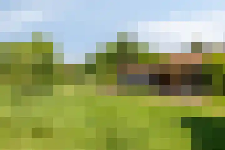 Pandijk 18 Sterksel thumbnail 48