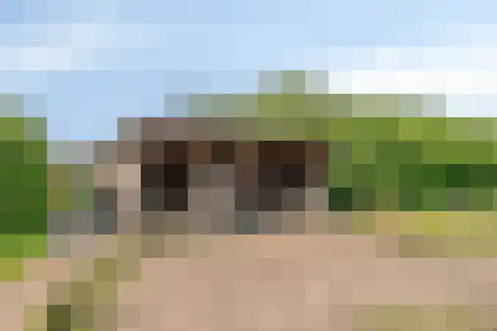 Pandijk 18 Sterksel thumbnail 5