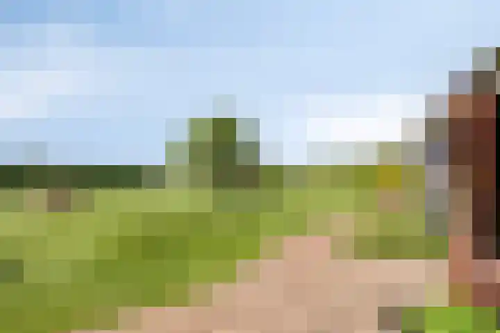Pandijk 18 Sterksel thumbnail 51
