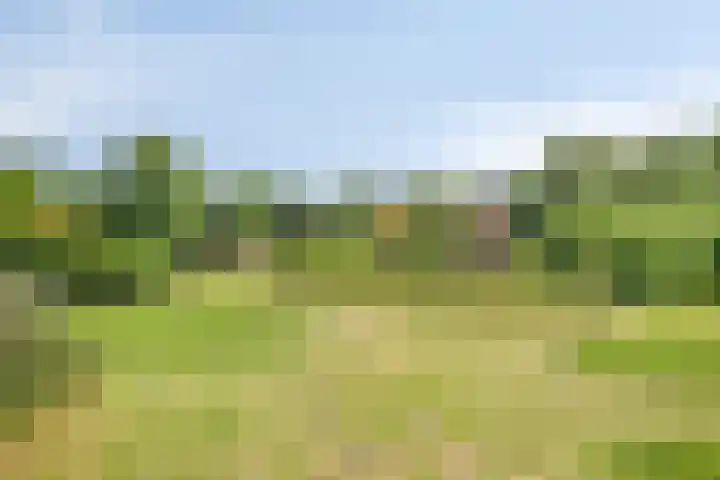 Pandijk 18 Sterksel thumbnail 52