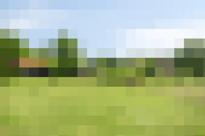 Pandijk 18 Sterksel thumbnail 53