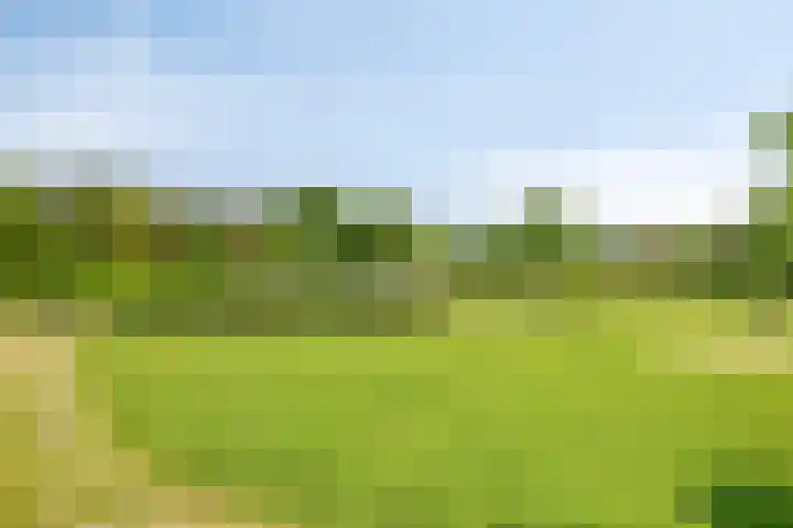 Pandijk 18 Sterksel thumbnail 54