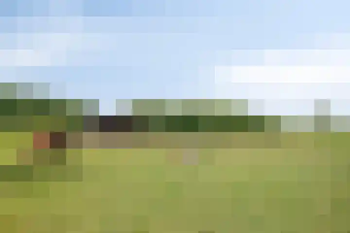 Pandijk 18 Sterksel thumbnail 55