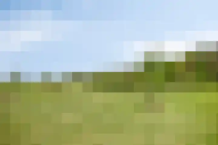 Pandijk 18 Sterksel thumbnail 56