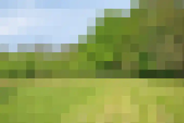 Pandijk 18 Sterksel thumbnail 57