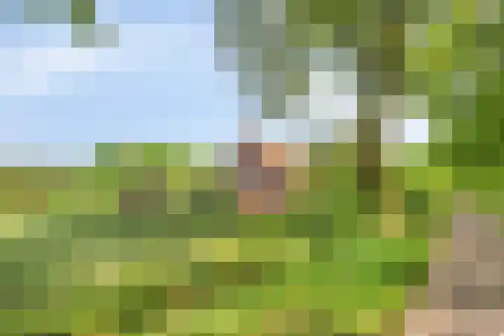 Pandijk 18 Sterksel thumbnail 6