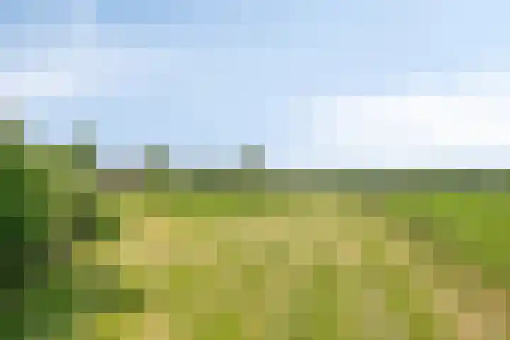 Pandijk 18 Sterksel thumbnail 60