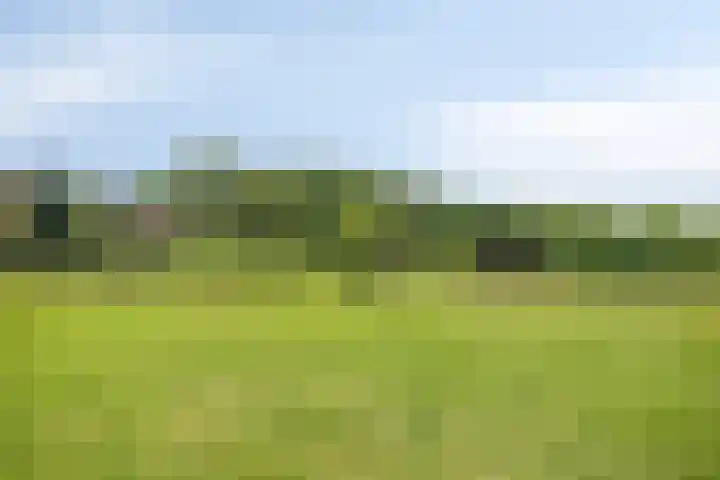 Pandijk 18 Sterksel thumbnail 61