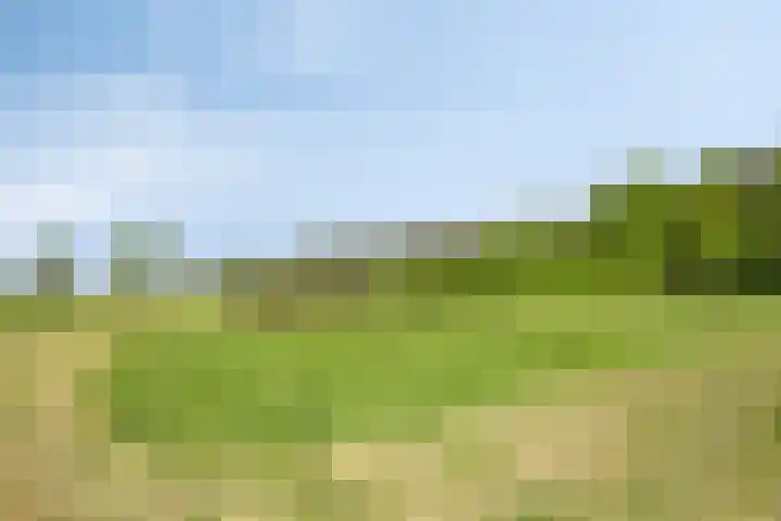 Pandijk 18 Sterksel thumbnail 62