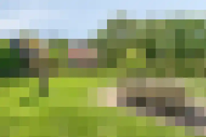 Pandijk 18 Sterksel thumbnail 63