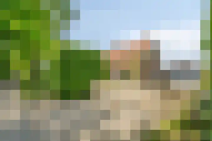 Pandijk 18 Sterksel thumbnail 66