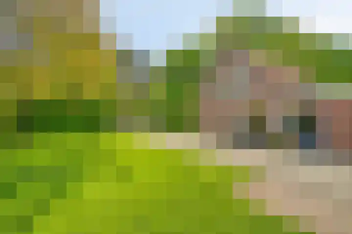 Pandijk 18 Sterksel thumbnail 7
