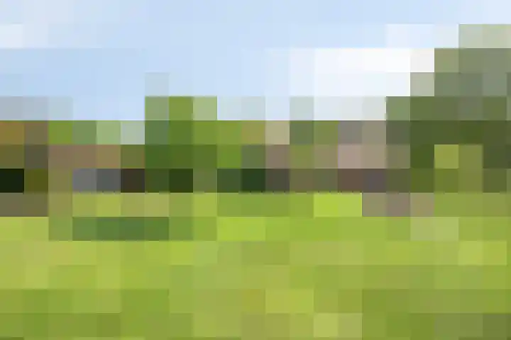 Pandijk 18 Sterksel thumbnail 9