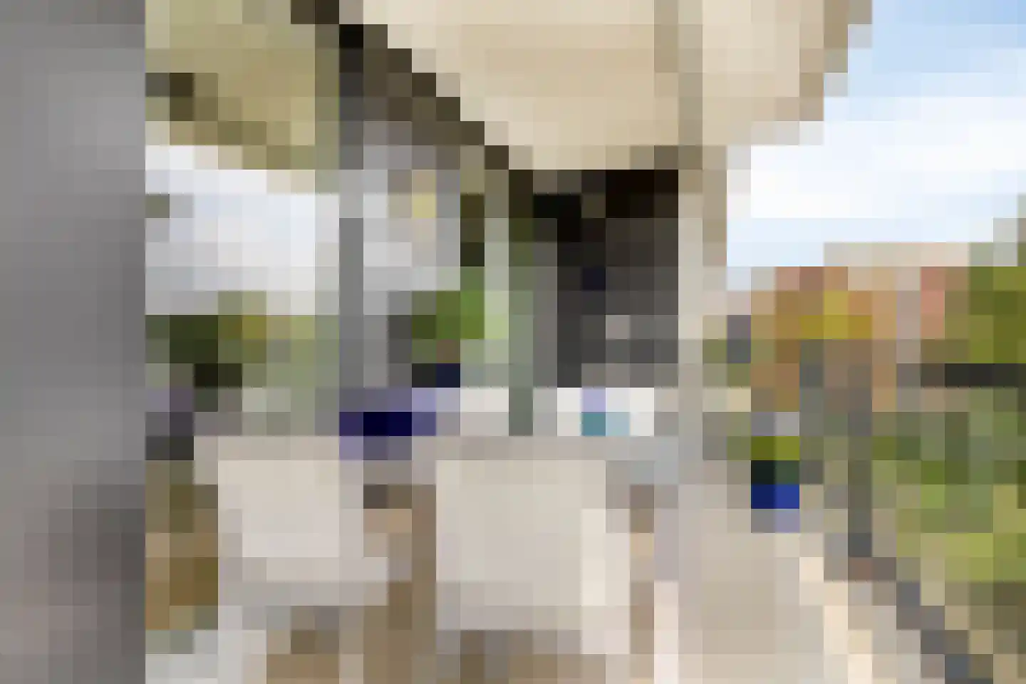 Pandora 36 IJsselstein thumbnail 5