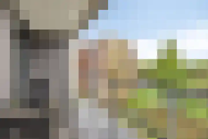 Pandora 40 IJsselstein thumbnail 33