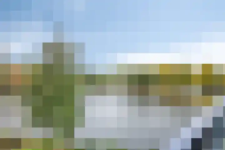 Pandora 40 IJsselstein thumbnail 34