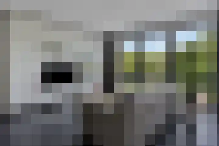 Pandora 69 IJsselstein thumbnail 6