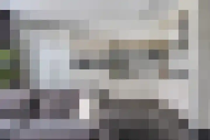 Pandora 69 IJsselstein thumbnail 9