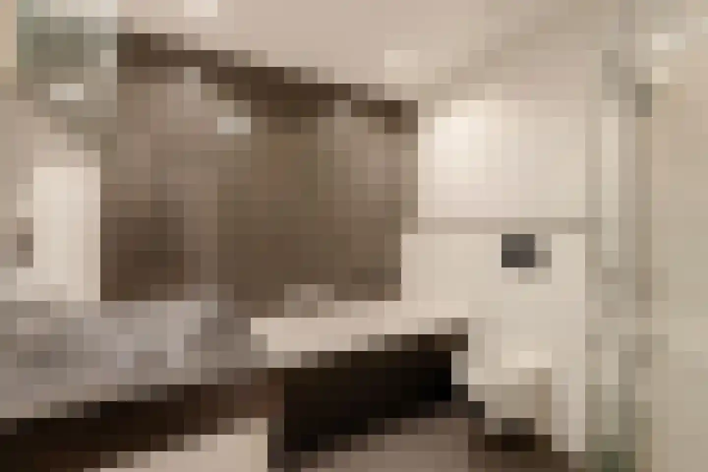 Pandorinastraat 10 Amsterdam thumbnail 19