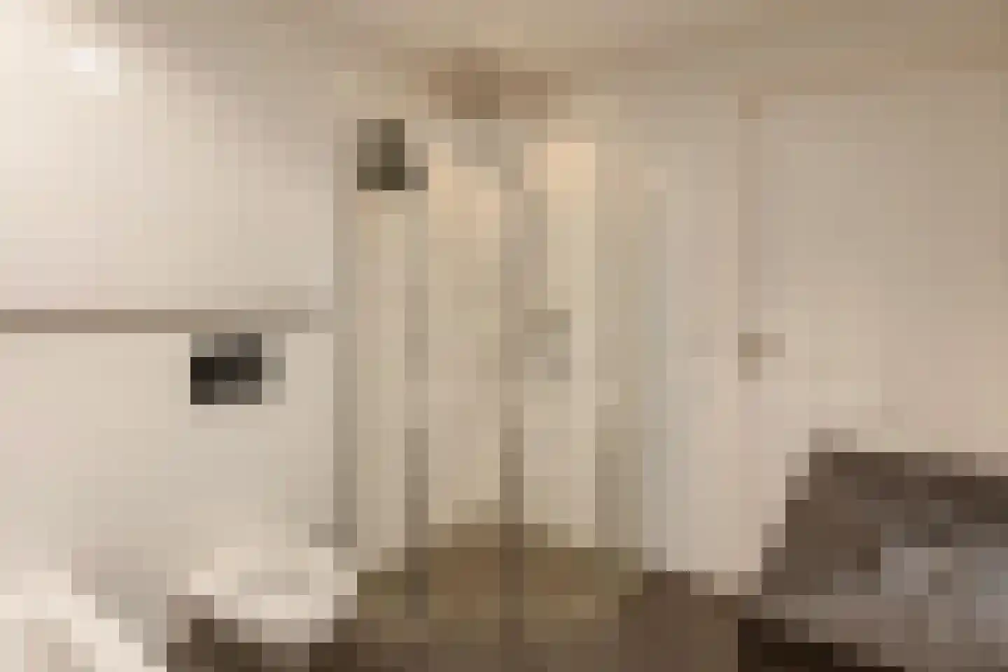 Pandorinastraat 10 Amsterdam thumbnail 20