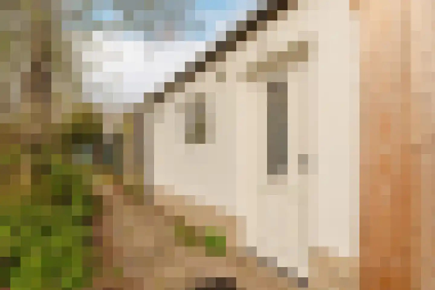 Pandorinastraat 10 Amsterdam thumbnail 21