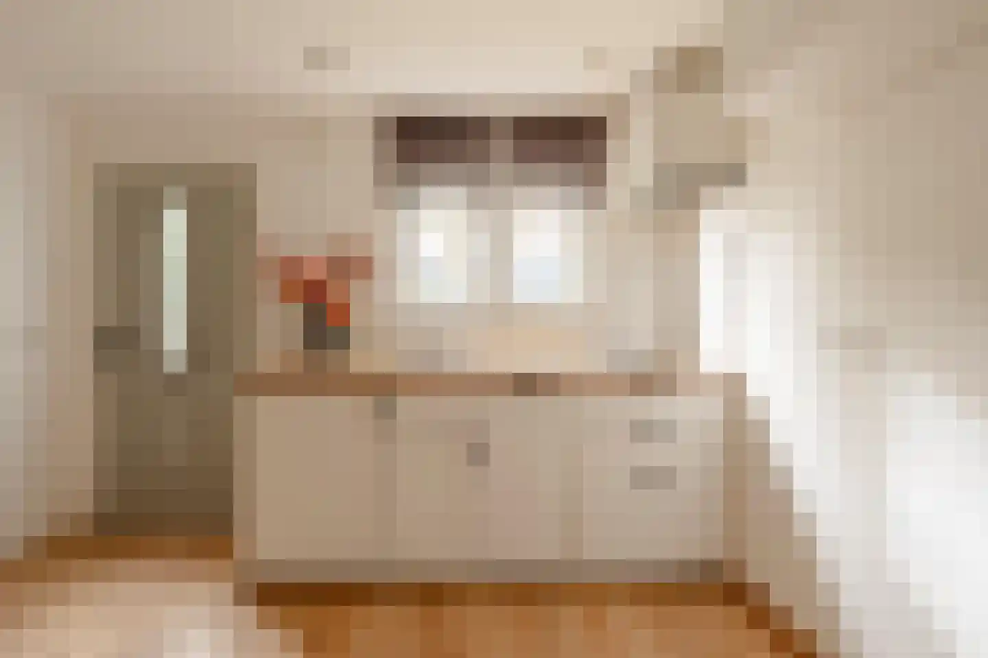 Pandorinastraat 10 Amsterdam thumbnail 24
