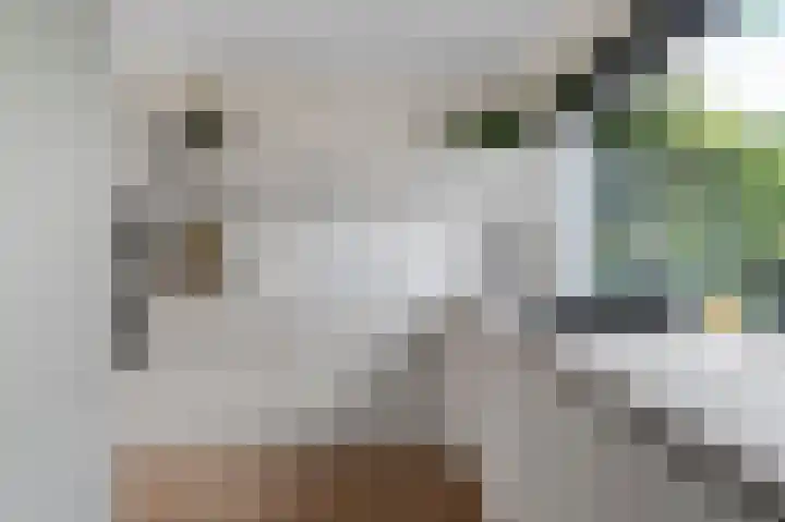 Pandorinastraat 2 Amsterdam thumbnail 11