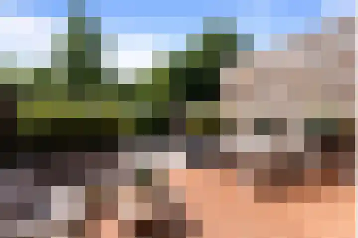 Pandorinastraat 2 Amsterdam thumbnail 12