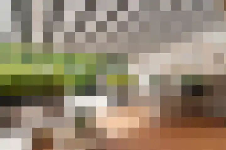 Pandorinastraat 2 Amsterdam thumbnail 18
