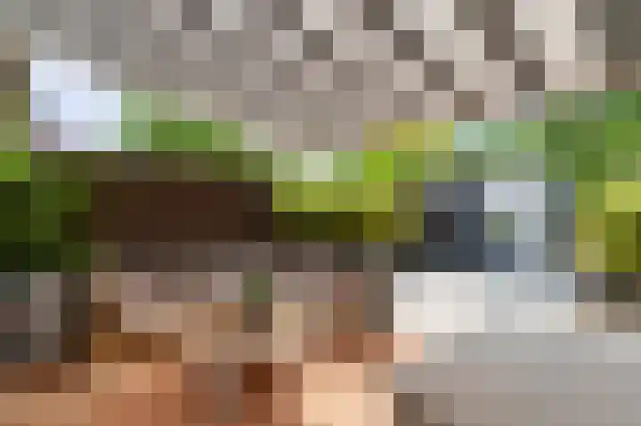 Pandorinastraat 2 Amsterdam thumbnail 19