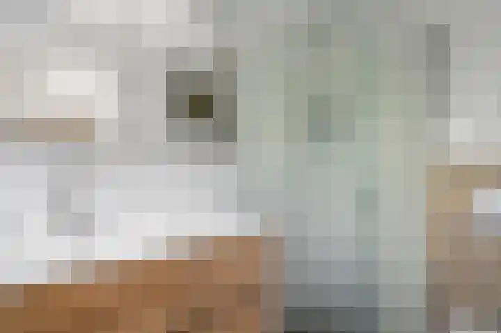Pandorinastraat 2 Amsterdam thumbnail 27