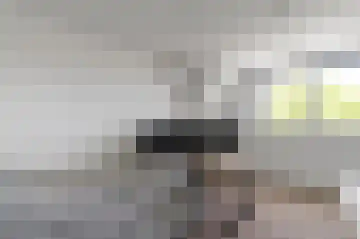 Pandorinastraat 2 Amsterdam thumbnail 32