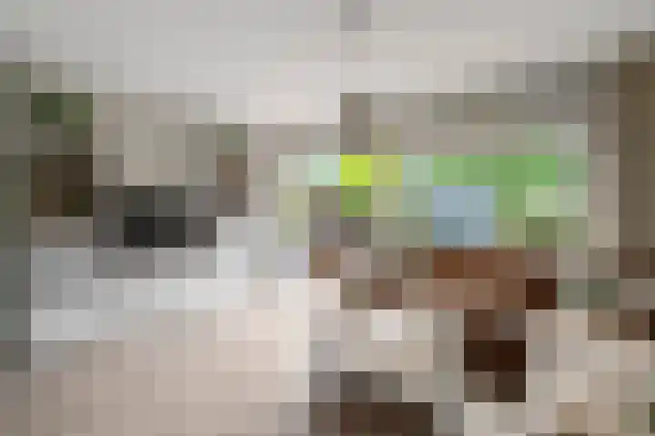 Pandorinastraat 2 Amsterdam thumbnail 4
