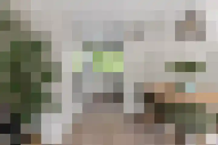 Pandorinastraat 2 Amsterdam thumbnail 8