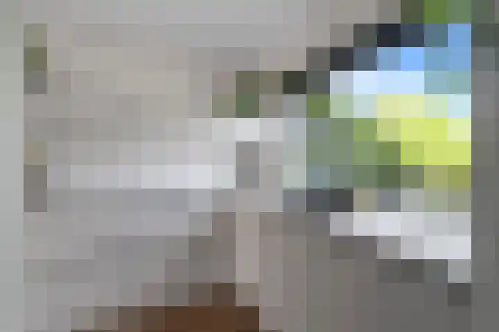 Pandorinastraat 2 Amsterdam thumbnail 9