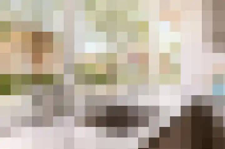 Panfluitstraat 18 Almere thumbnail 21