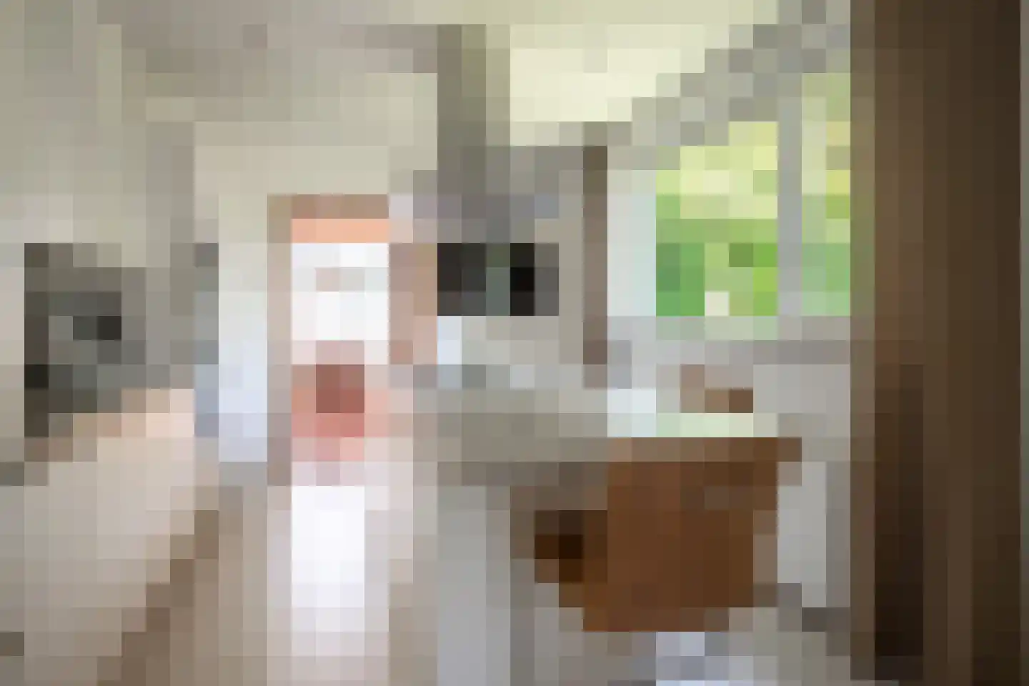 Panheelderweg 24 Heel thumbnail 13