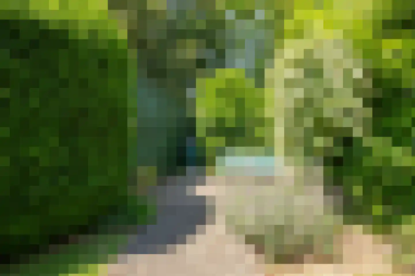 Panheelderweg 24 Heel thumbnail 38