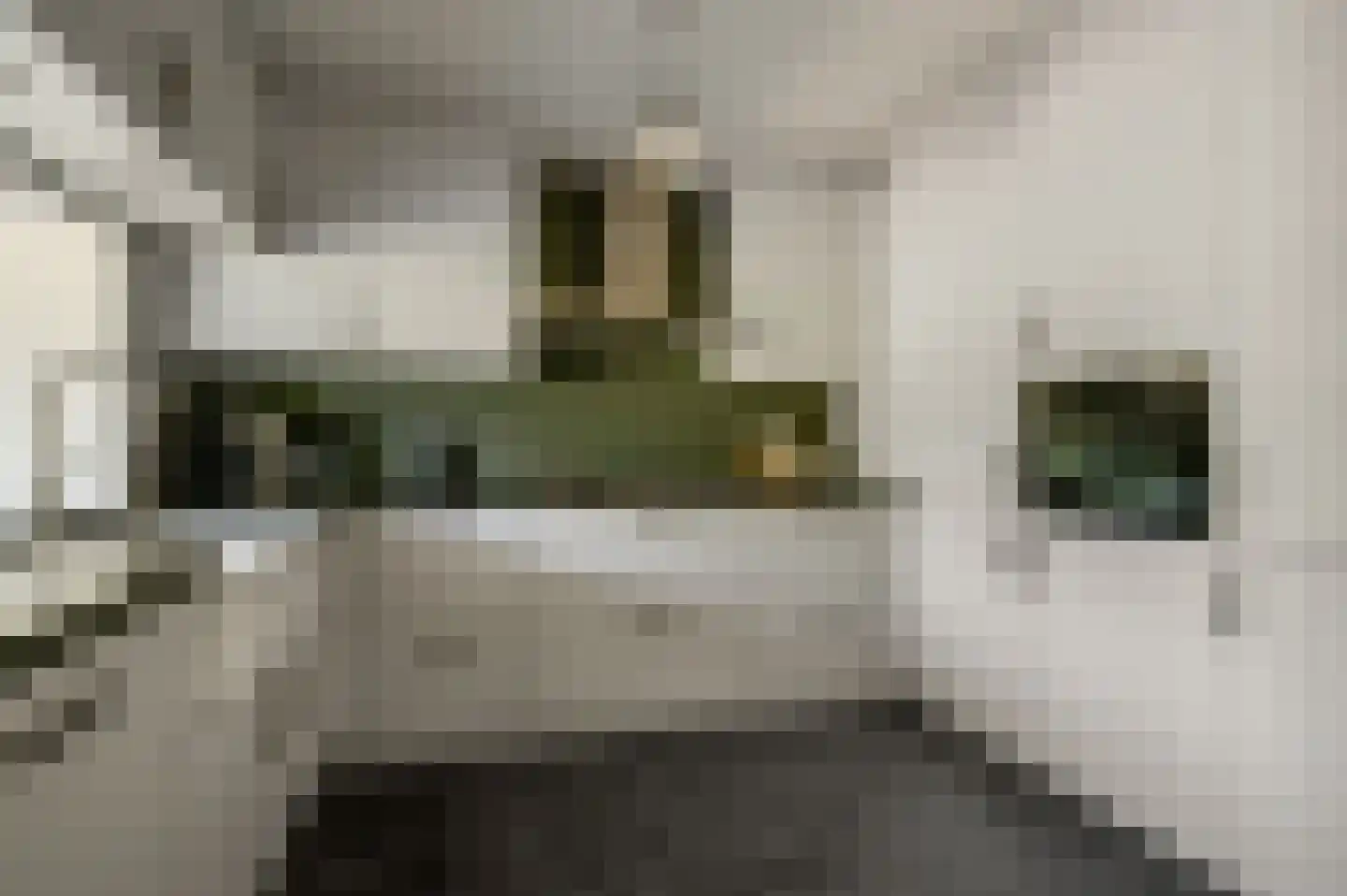 Panheelderweg 32 Heel thumbnail 13