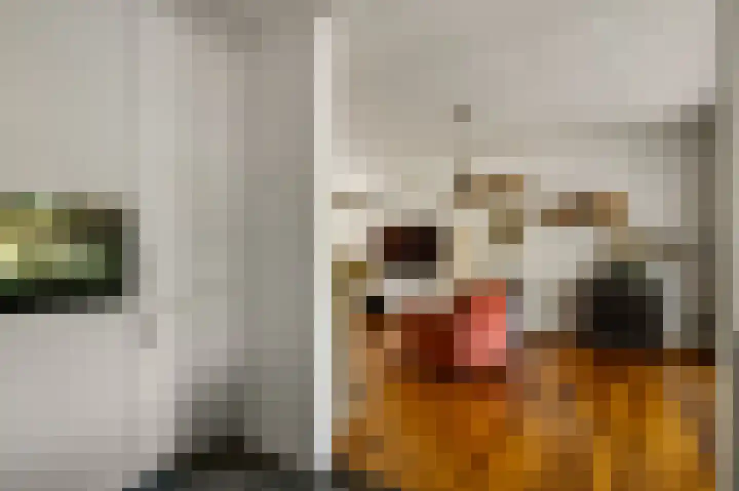 Panheelderweg 32 Heel thumbnail 14