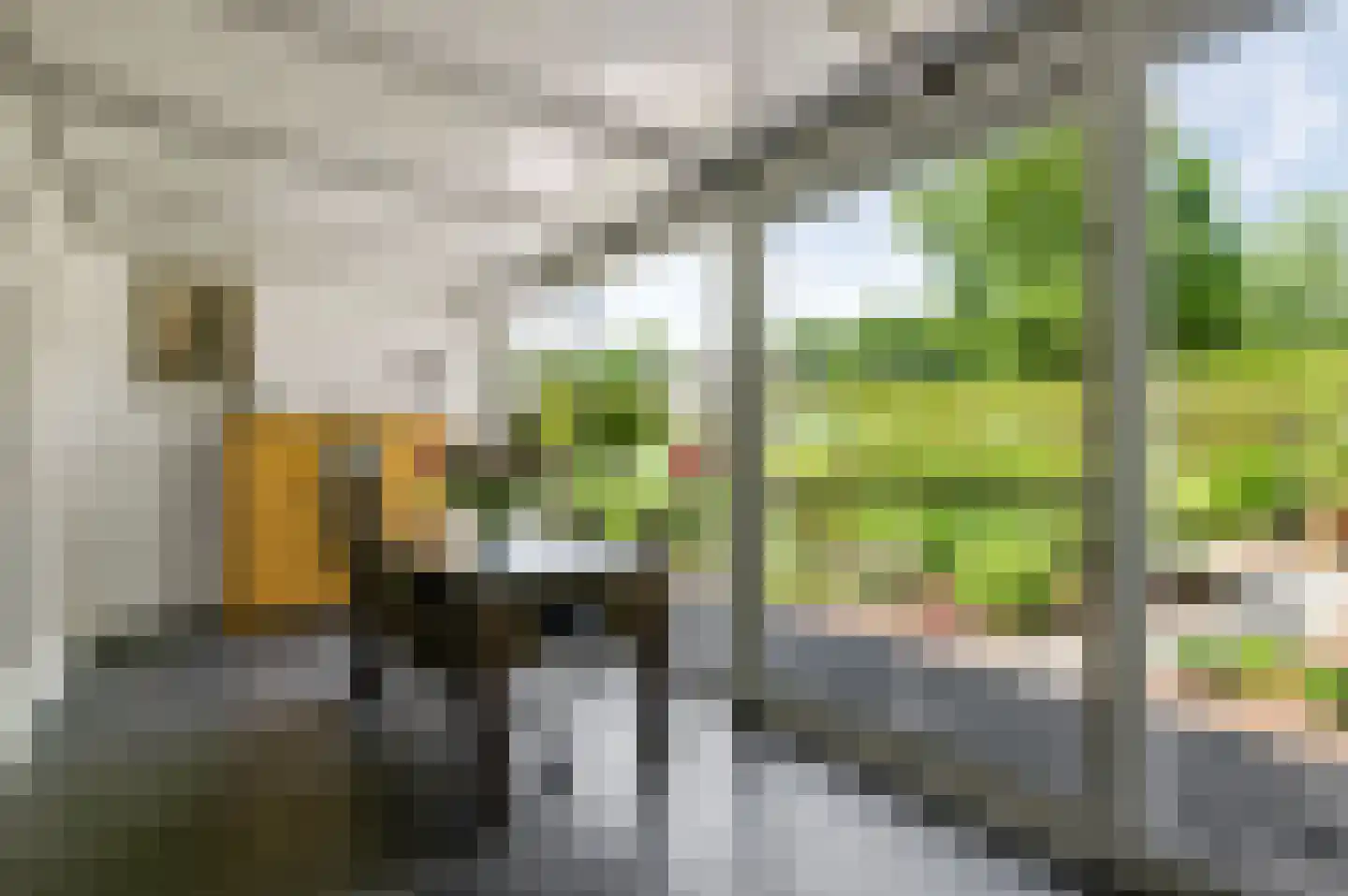 Panheelderweg 32 Heel thumbnail 18