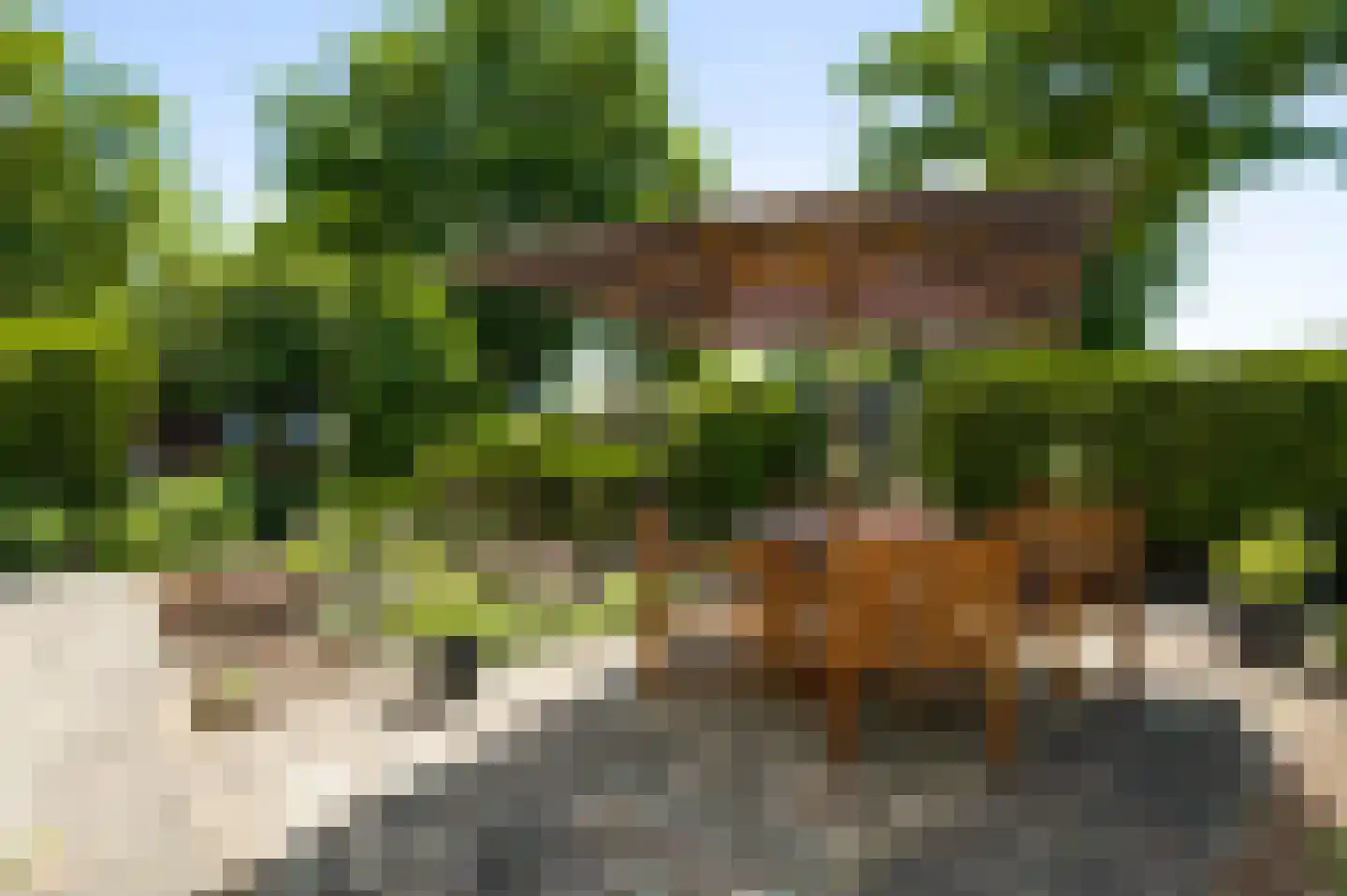 Panheelderweg 32 Heel thumbnail 40