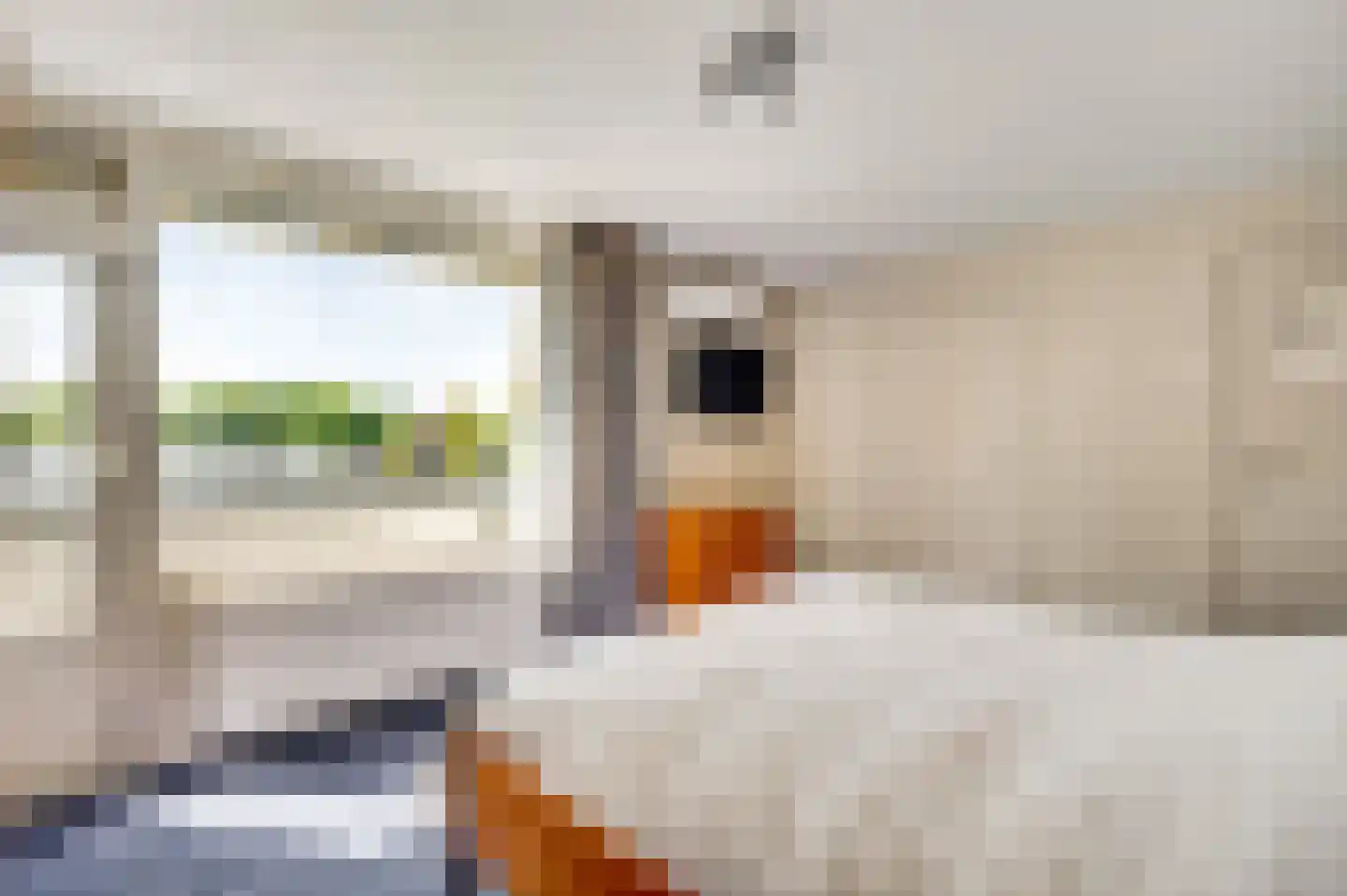 Panheelderweg 6 Heel thumbnail 17