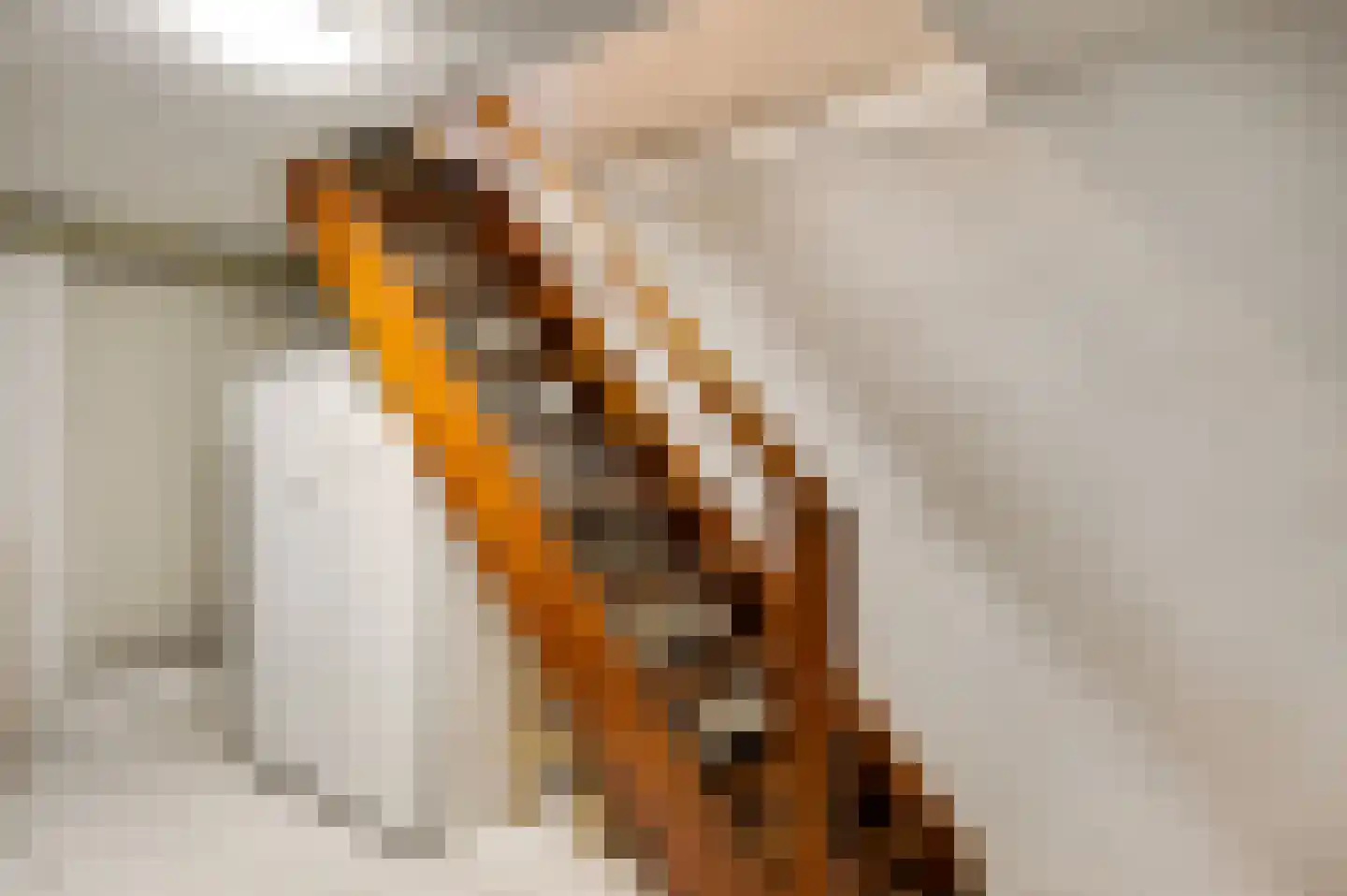 Panheelderweg 6 Heel thumbnail 25