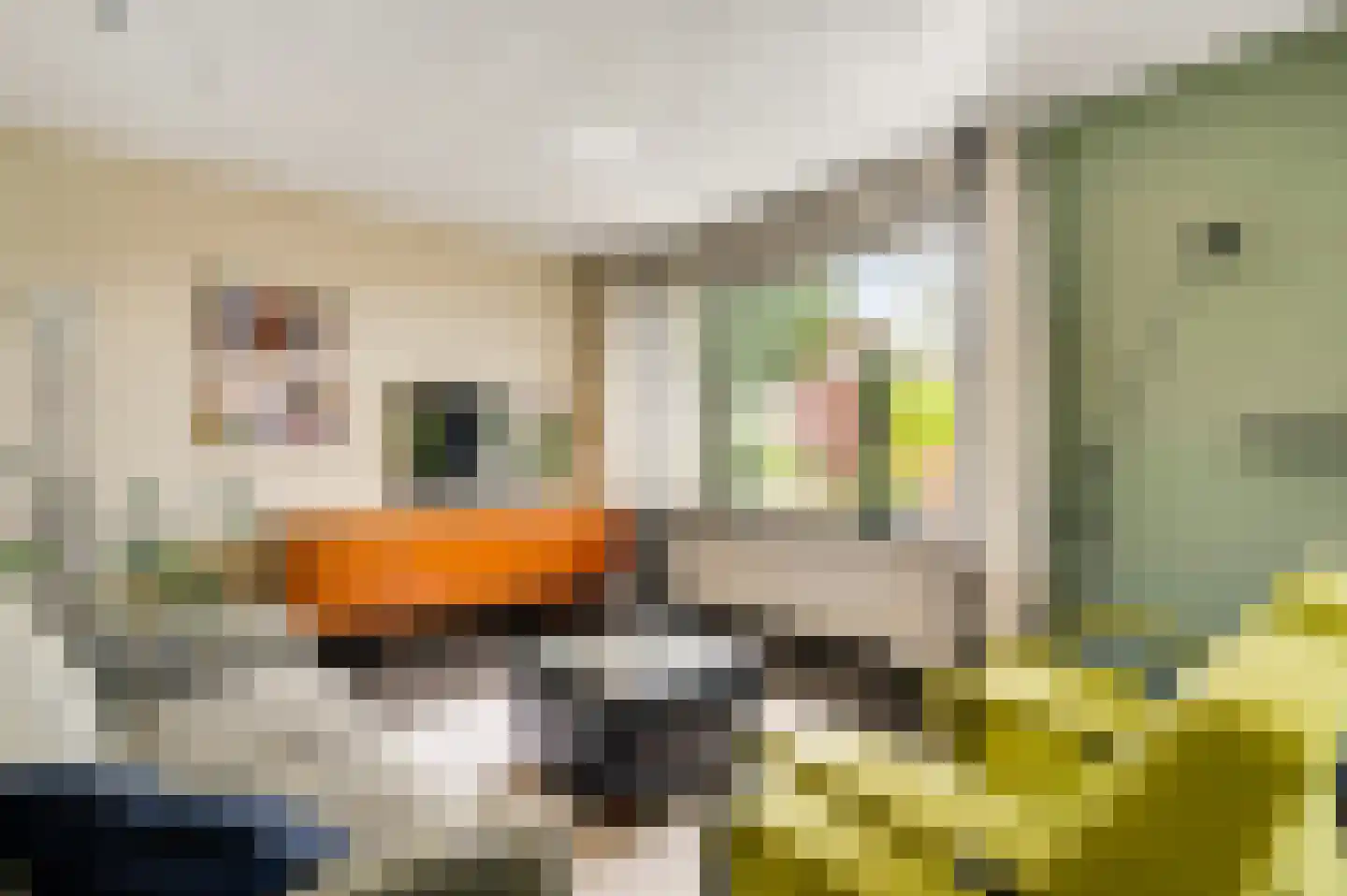 Panheelderweg 6 Heel thumbnail 7